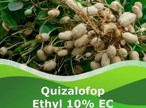 Get Quizalofop Ethyl 10% Ec at Peptech Bioscience Ltd - אחר