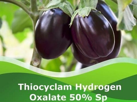 Thiocyclam Hydrogen Oxalate 50% Sp | Peptech Bioscience Ltd - Drugo