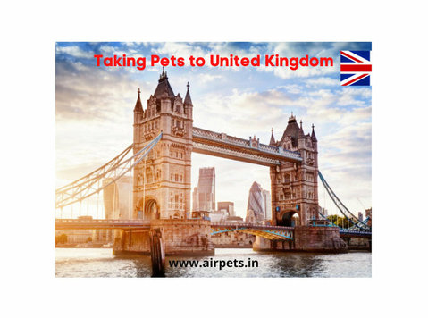 Best Pet Transport from India to Uk - Pets/Animals
