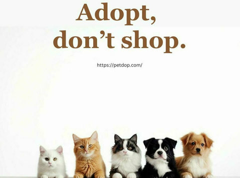 Pet Adoption Awareness - 동물/애완동물