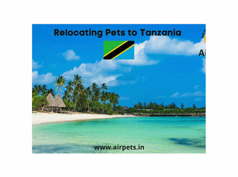 Relocating Pets to Tanzania - Miláčikovia/Zvieratá
