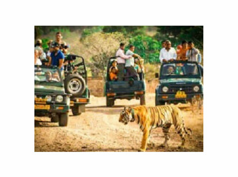 Ranthambore Tour Package, Grab the Best Deals Here! - Патување/Возење