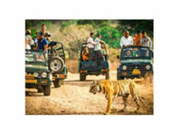 Ranthambore Tour Package, Grab the Best Deals Here! - Travel/Ride Sharing