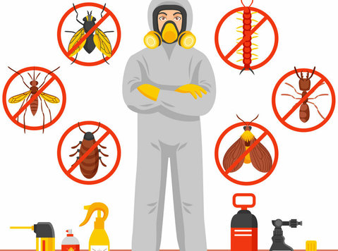 Pest Control in Lucknow - Dịch vụ vệ sinh