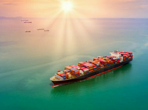 Reliable Ocean Shipping Services by Logisticle - Chuyển/Vận chuyển