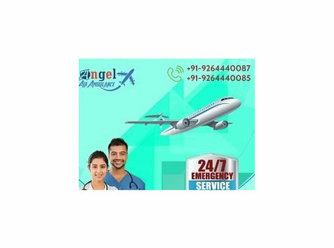 Angel Air Ambulance Service In Delhi - Services: Other