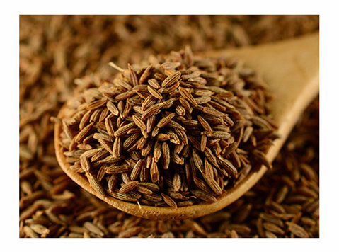 Cumin Seeds Manufacturers In India - Outros