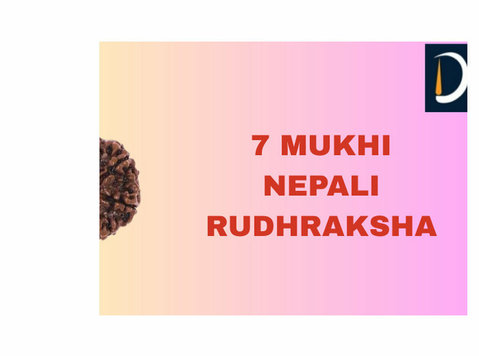 Discover the Power of 7 Mukhi Nepali Rudraksha – Benefits an - Services: Other