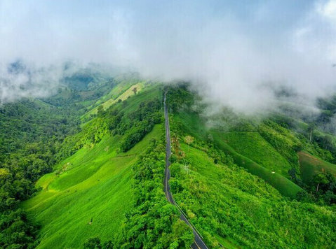 Experience the Ultimate Mysore Ooty Coorg Tour Package - Άλλο