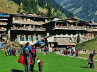 Manali Rohtang Pass Tour Packages with Sos Travel House - Diğer
