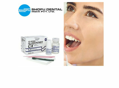 Shofu Inc.: Your Global Source for Premium Dental Products - Outros
