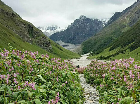 explore uttarakhand's hidden gem: valley of flowers - Egyéb