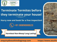 Termite Control Goa - Muu