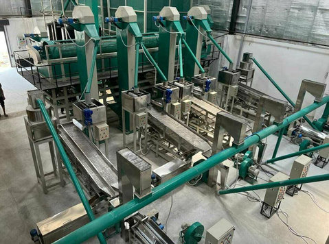 Automatic Cashew Nut Cutting Machine for High-speed, Low-was - Electronics