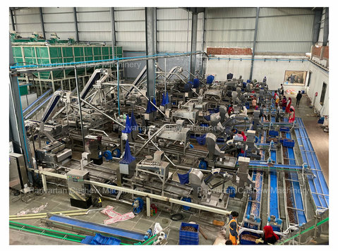 Automatic Cashew Nut Cutting Machine for Fast Processing - Buy & Sell: Other