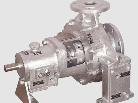 Manufacturer of Thermic Fluid Pump in India - Muu
