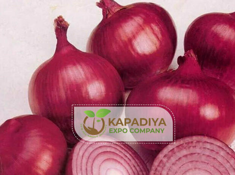 Onion Manufacturer, Supplier, Exporter India - Annet