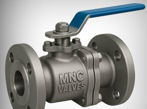 2 Piece Ball Valve Manufacturers in Ahmedabad, India | Mnc V - שותפים עסקיים
