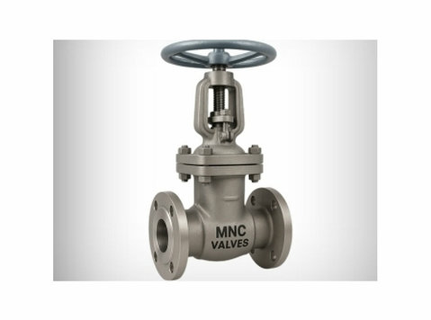 Gate Valve Manufacturers in India - Деловни партнери