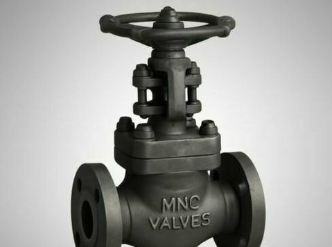 Globe Valve Manufacturer in Ahmedabad, India - Biznesa partneri