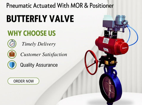 butterfly valve supplier in india - Äri partnerid