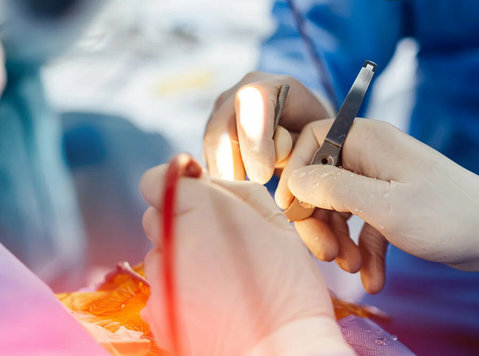 Trusted Womens Hospital in Gota for Advanced Healthcare - Останато