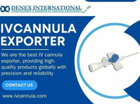 Iv Cannula Exporter - Denex international - Annet