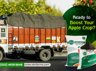 Opt for the Best Fertilizer for Your Apple Trees - Annet