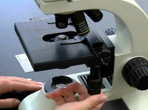 Top Microscope Manufacturer in India – Precision, Innovatio - Egyéb