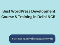 Best Wordpress course in Delhi - Diğer