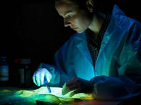 Eligibility and Details for Bsc Forensic Science Course - Overig