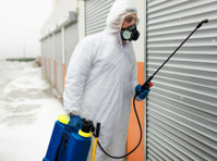 Rat Control Services in Noida - Cleaning