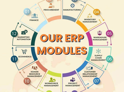 Custom Erp Solutions for Enhanced Business Performance - Máy tính/Mạng
