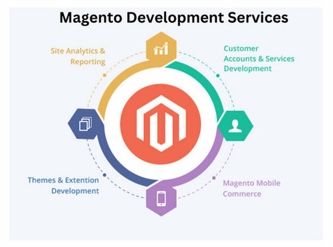 Maximizing Your Online Business with Magento Expert - 컴퓨터/인터넷