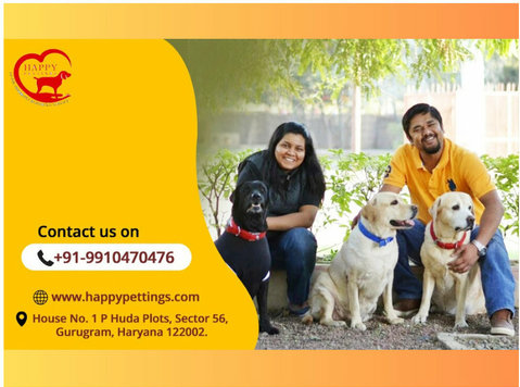 Delhi’s Best Dog Care Services – Happy Pettings - Drugo