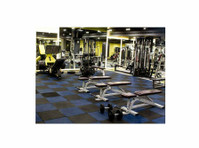 Elevate Wellness Club: Best Gym in Ludhiana - Services: Other