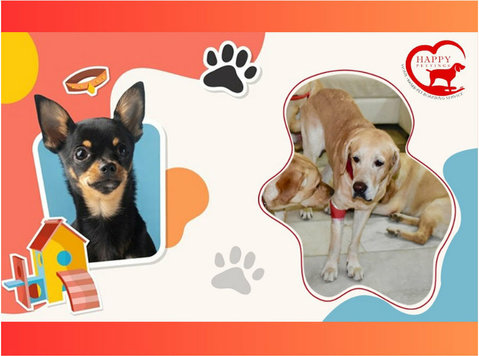 Happypettings – Premium Pet Boarding in Delhi - Services: Other