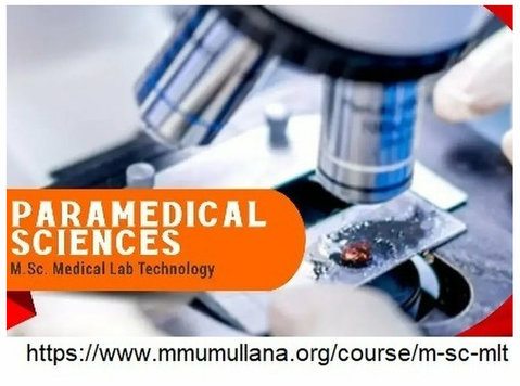 Msc medical lab technology syllabus - Services: Other