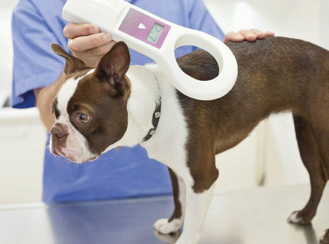 Pet Microchip for Dogs - Services: Other