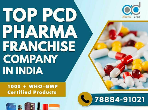 Top Pcd Pharma Franchise Company in India - その他