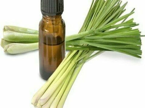 Lemongrass Oil Manufacturers in India - Altro