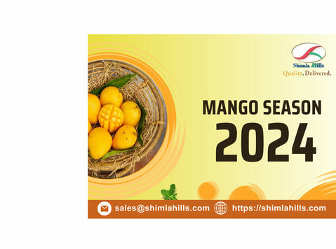 Welcome Mango Season 2024 with Shimla Hills Offerings - Άλλο