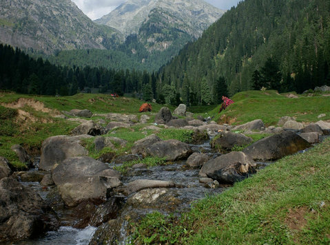 Journey Through Paradise: Kashmir's Great Lakes Trek - Traslochi/Trasporti