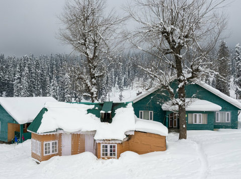Frozen Harmony: Exploring February in Kashmir - 기타