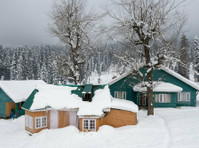 Frozen Harmony: Exploring February in Kashmir - Khác