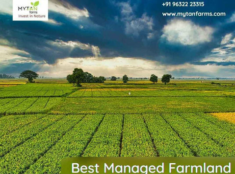 Best Managed Farmland Near Bangalore for a Sustainable Lifes - Buy & Sell: Other