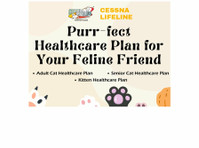 Cat Healthcare Plan - Övrigt