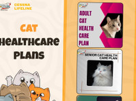 Cat Healthcare Plan - Övrigt