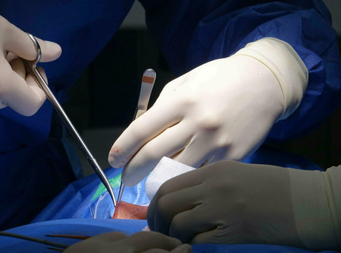 Advancements in Spine Surgery: Precision,and Innovations - Community: Other