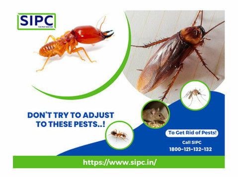 Best Pest Control Services in Goa - Egyéb